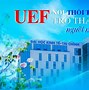 Gia Hạn Đóng Học Phí Uef Năm 2024 1 År