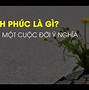 Phúc Đáo Lại Nghĩa Là Gì