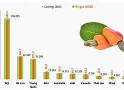 Thị Trường Xuất Khẩu Xơ Dừa Tại Việt Nam