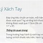 Thuốc Tây Có Được Mang Sang Nhật Không