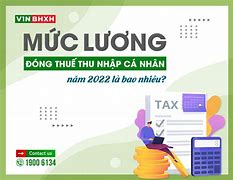 Xkld Mỹ 2022 Lương Tháng Bao Nhiêu 1 Năm Là Hết Hạn Hán